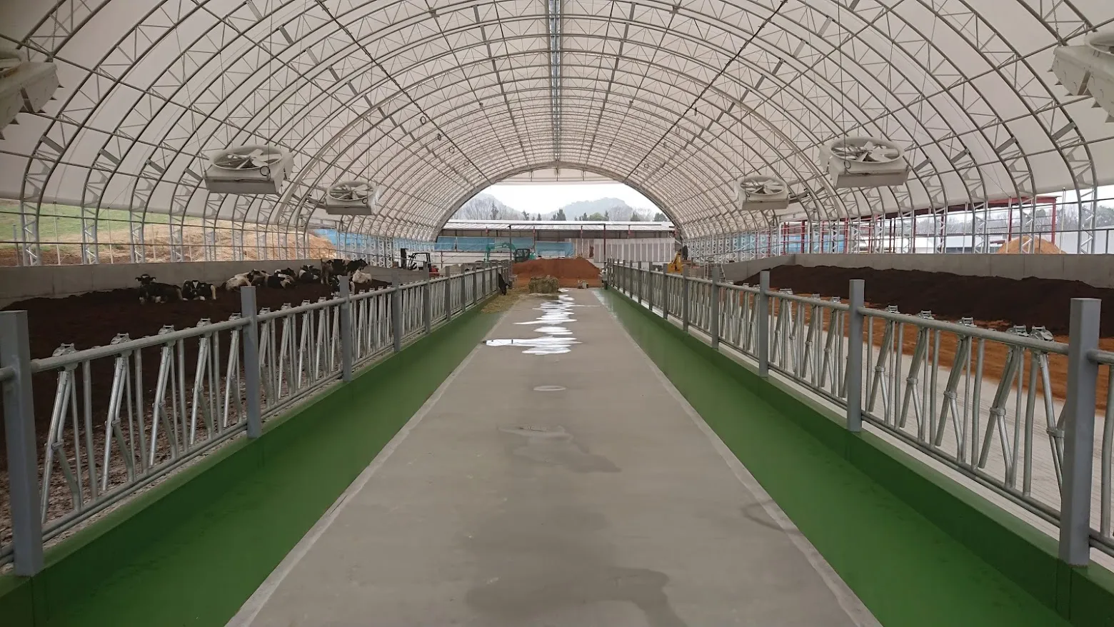 大一牧場のハウス牛舎